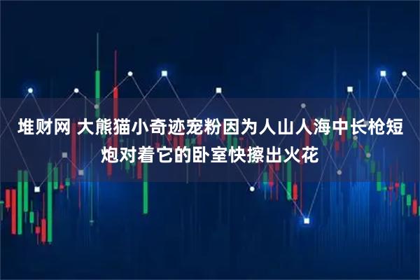 堆财网 大熊猫小奇迹宠粉因为人山人海中长枪短炮对着它的卧室快擦出火花