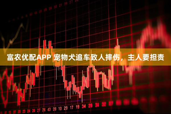 富农优配APP 宠物犬追车致人摔伤，主人要担责