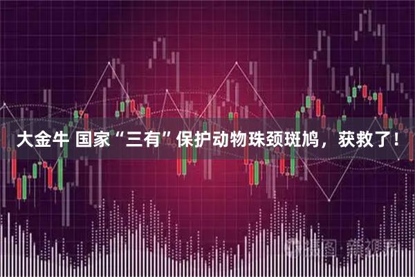 大金牛 国家“三有”保护动物珠颈斑鸠，获救了！
