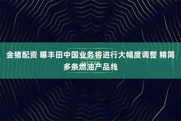 金猪配资 曝丰田中国业务将进行大幅度调整 精简多条燃油产品线