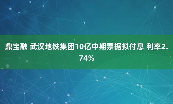 鼎宝融 武汉地铁集团10亿中期票据拟付息 利率2.74%